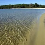 וילה Cosy&charme Piscine Chauffee Bassin D'arcachon לה-טסט-דה-בוש